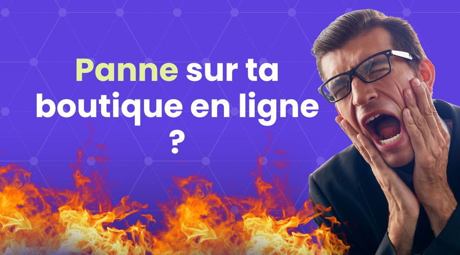 panne shopify 